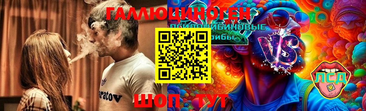 Псилоцибиновые грибы MAGIC MUSHROOMS  цена   Вход с VPN  Белая Калитва  Псилоцибиновые грибы мухоморы 
